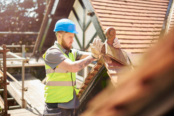 Best Roof Gutter Cleaning  in Shpee Neck, MA